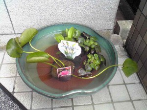 s-Image0301