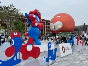 IMG_6442 IMG_6442